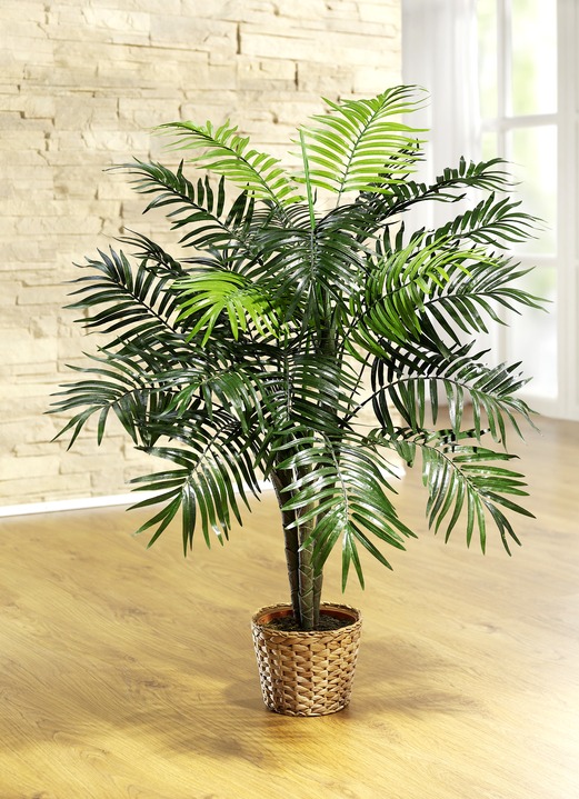 Woonaccessoires - Palm in pot, in Farbe , in Ausführung Grote palmboom in pot