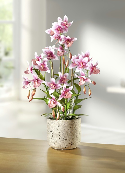 Woonaccessoires - Orchidee in pot, in Farbe ROZE-GROEN