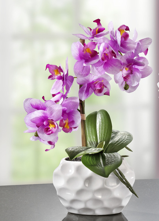 Woonaccessoires - Orchideeënarrangement in keramieken vaas, in Farbe ROZE Ansicht 1