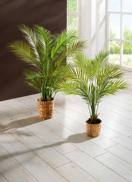 Woonaccessoires - Goudpalm in pot, in Farbe GROEN, in Ausführung klein